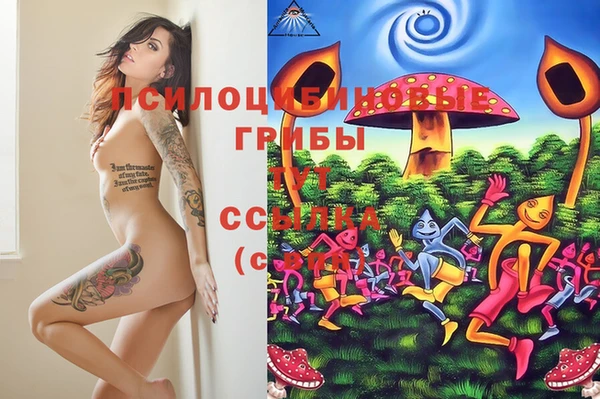 твердый Алексин