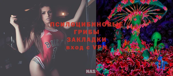 винт Алзамай