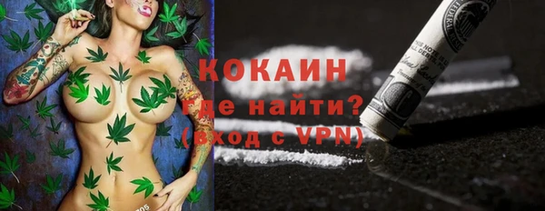 твердый Алексеевка