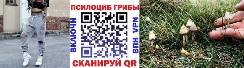 хочу наркоту Геленджик Псилоцибиновые грибы Magic Shrooms