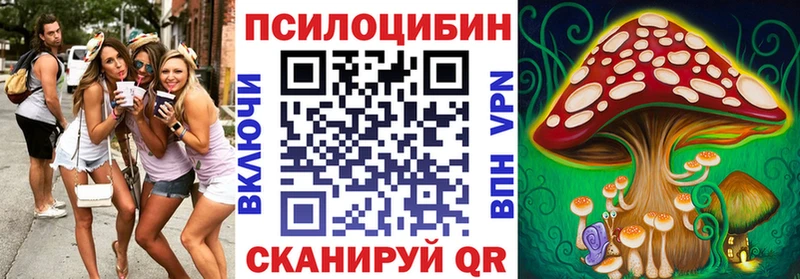Псилоцибиновые грибы Psilocybe Геленджик