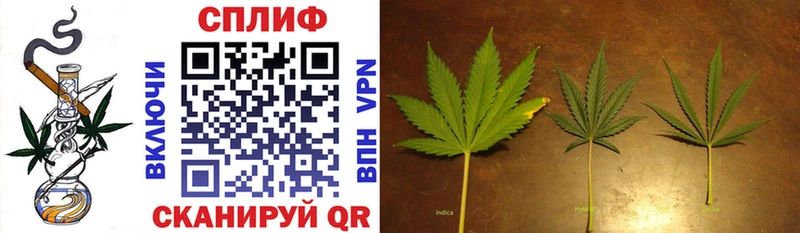 даркнет Telegram  наркотики  Геленджик  Бошки марихуана White Widow 